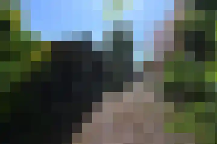 Wolfend 17 Bergschenhoek thumbnail 64