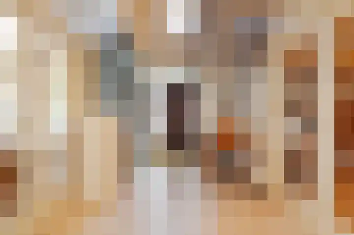 Wolfend 17 Bergschenhoek thumbnail 9