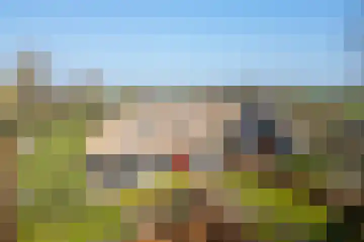 Wolferinksweg 4 in Gorssel