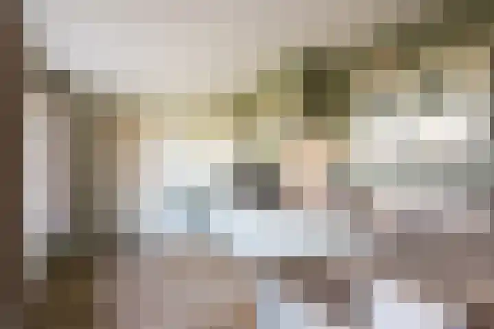 Wolferinksweg 4 Gorssel thumbnail 13