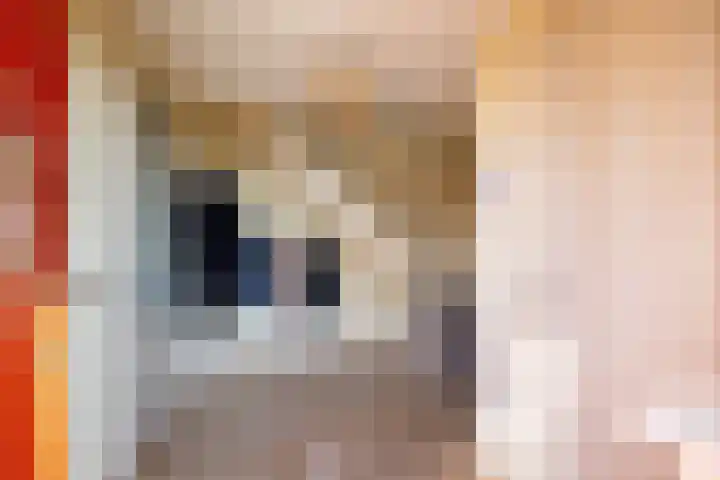 Wolferinksweg 4 Gorssel thumbnail 18