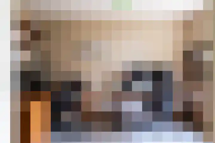 Wolferinksweg 4 Gorssel thumbnail 19