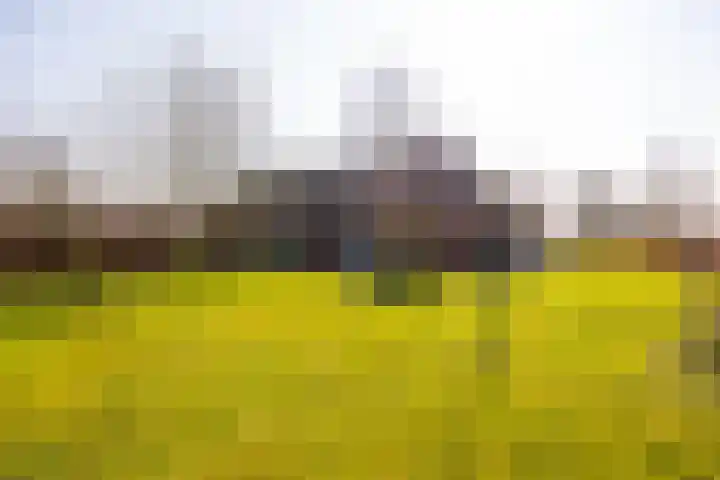 Wolferinksweg 4 Gorssel foto 2