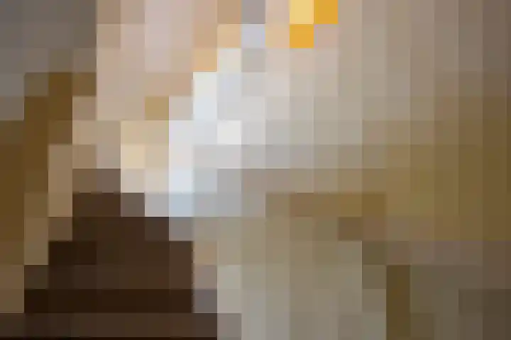 Wolferinksweg 4 Gorssel thumbnail 22
