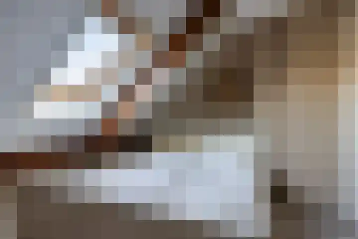 Wolferinksweg 4 Gorssel thumbnail 33