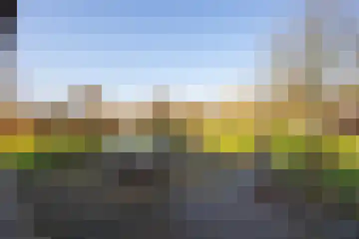 Wolferinksweg 4 Gorssel thumbnail 36