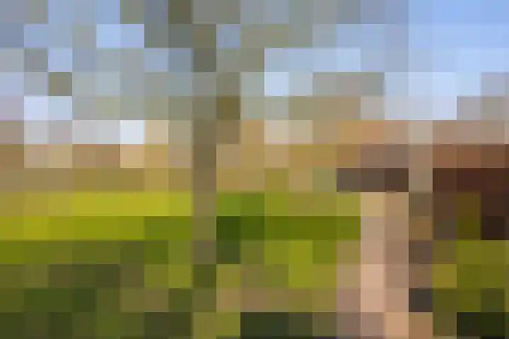 Wolferinksweg 4 Gorssel thumbnail 37