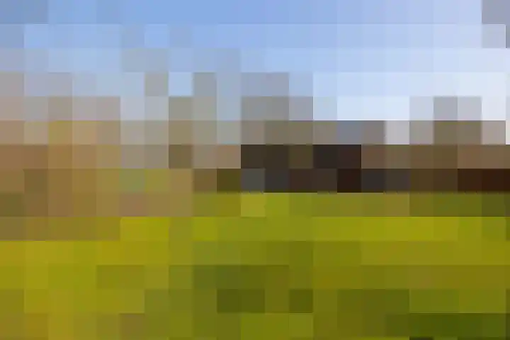 Wolferinksweg 4 Gorssel thumbnail 38