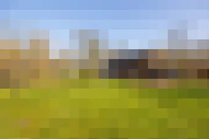 Wolferinksweg 4 Gorssel thumbnail 39