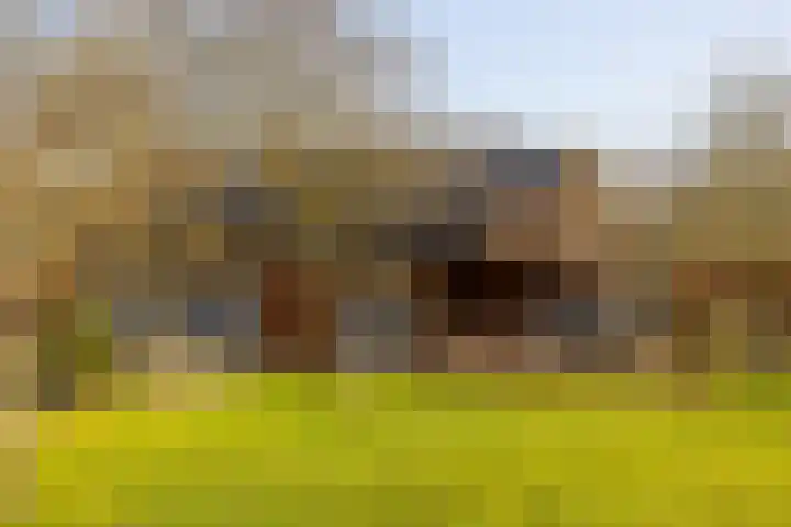 Wolferinksweg 4 Gorssel thumbnail 40