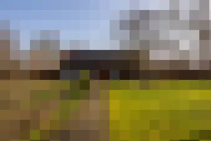 Wolferinksweg 4 Gorssel thumbnail 42