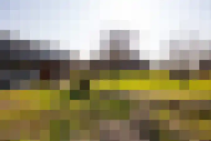 Wolferinksweg 4 Gorssel thumbnail 43
