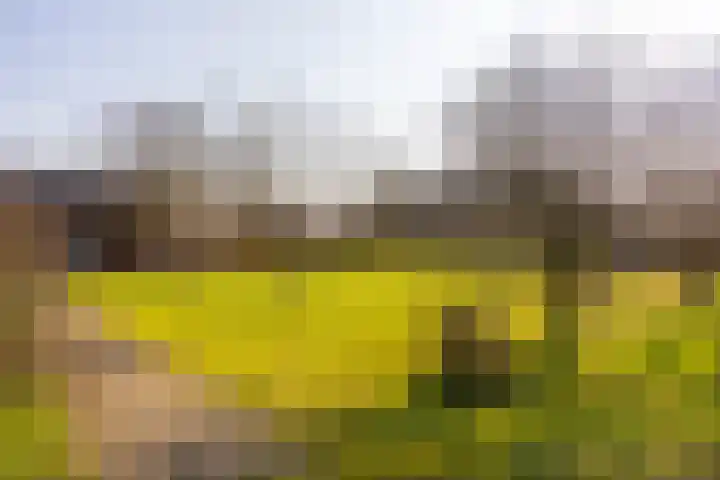 Wolferinksweg 4 Gorssel thumbnail 45