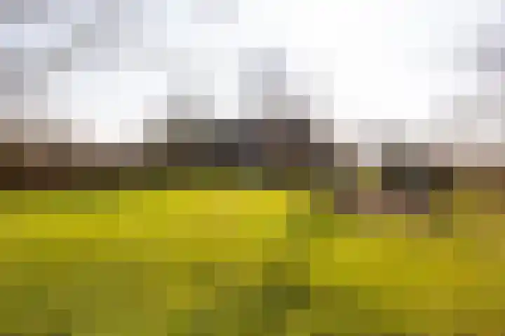 Wolferinksweg 4 Gorssel thumbnail 46