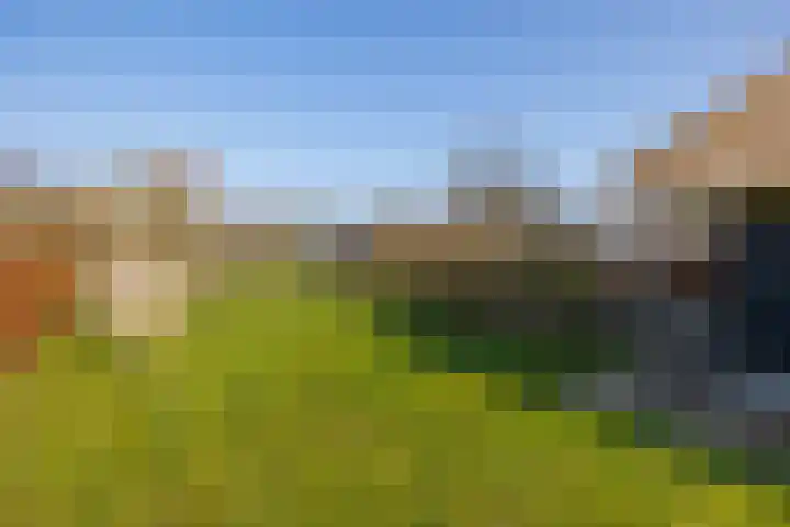 Wolferinksweg 4 Gorssel thumbnail 47