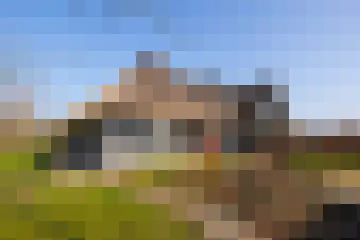 Wolferinksweg 4 Gorssel thumbnail 48