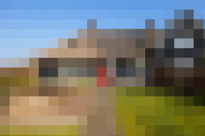 Wolferinksweg 4 Gorssel thumbnail 49