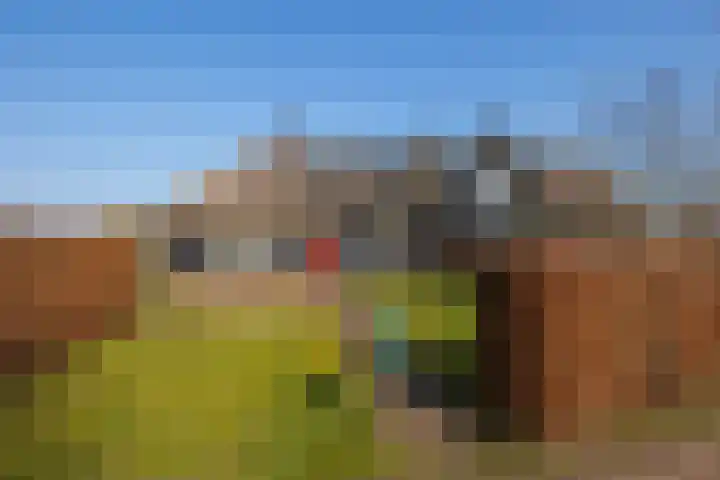 Wolferinksweg 4 Gorssel thumbnail 50