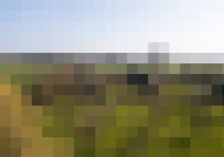Wolferinksweg 4 Gorssel thumbnail 51