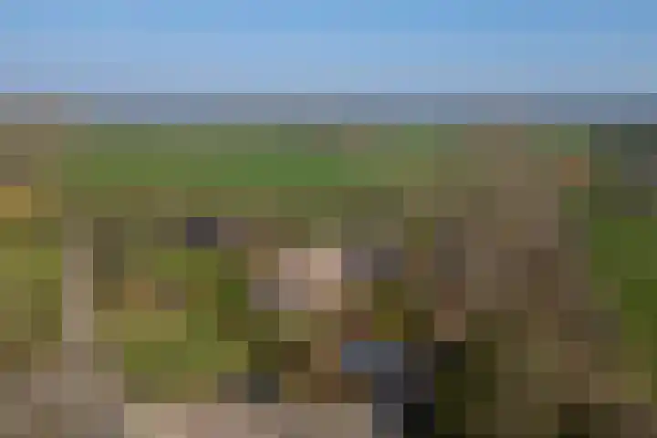 Wolferinksweg 4 Gorssel thumbnail 52
