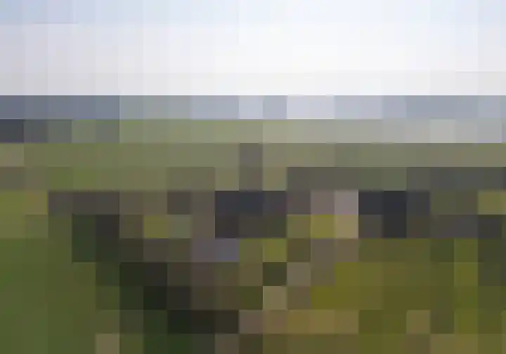 Wolferinksweg 4 Gorssel thumbnail 53