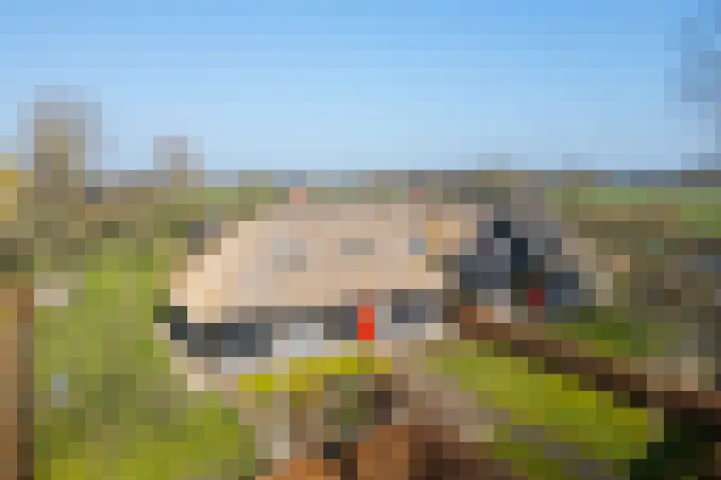 Wolferinksweg 4 Gorssel thumbnail 58