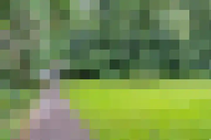 Wolferlanden 12 Enschede thumbnail 13