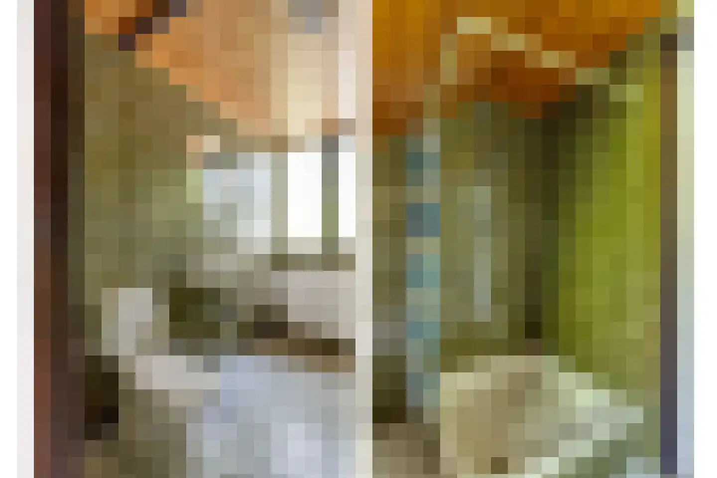 Wolferlanden 36 Enschede thumbnail 26