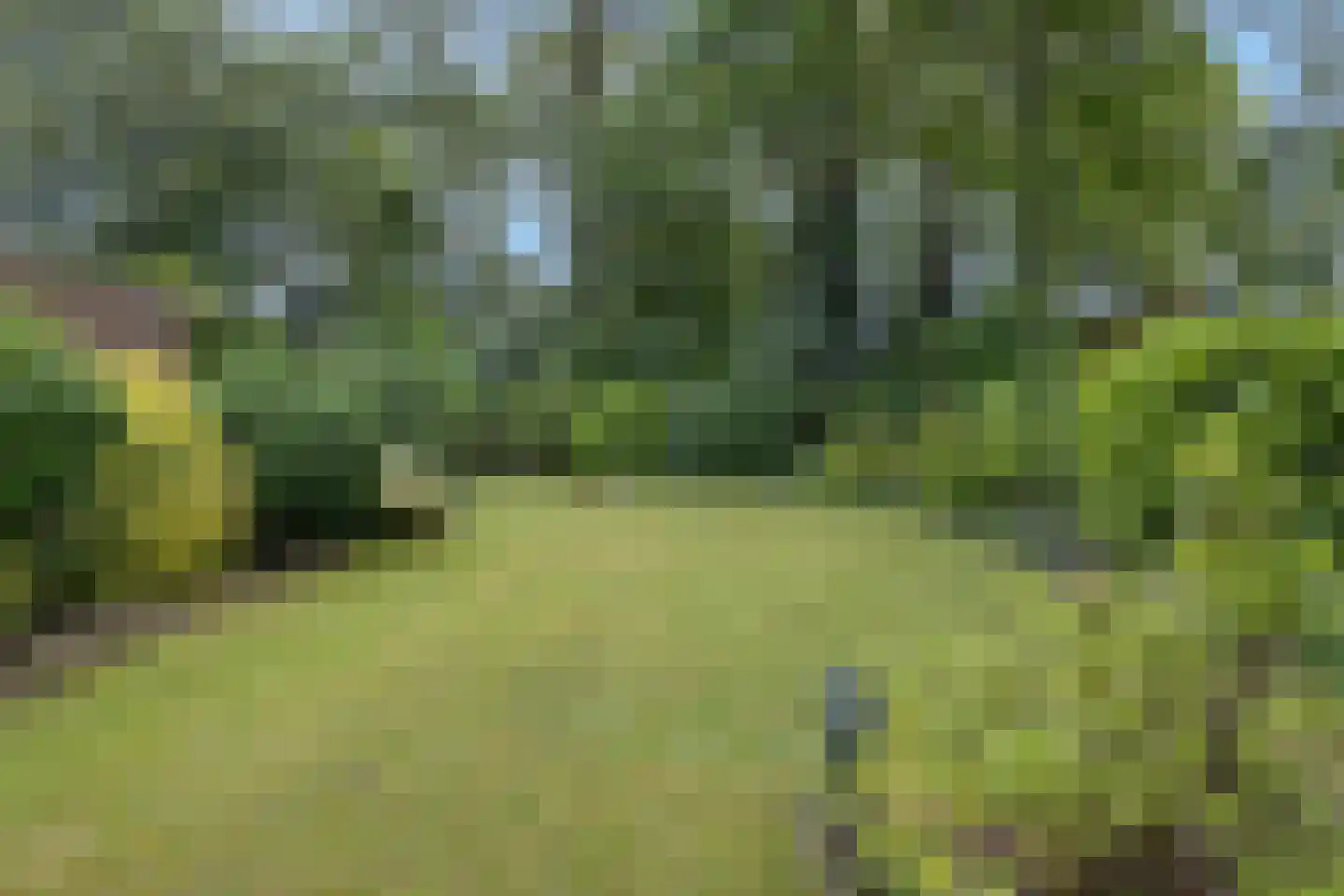 Wolferlanden 36 Enschede thumbnail 31