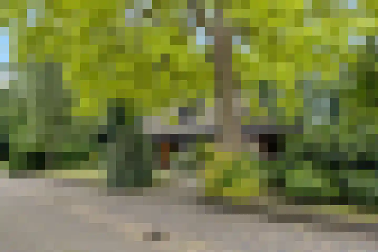 Wolferlanden 36 Enschede thumbnail 5
