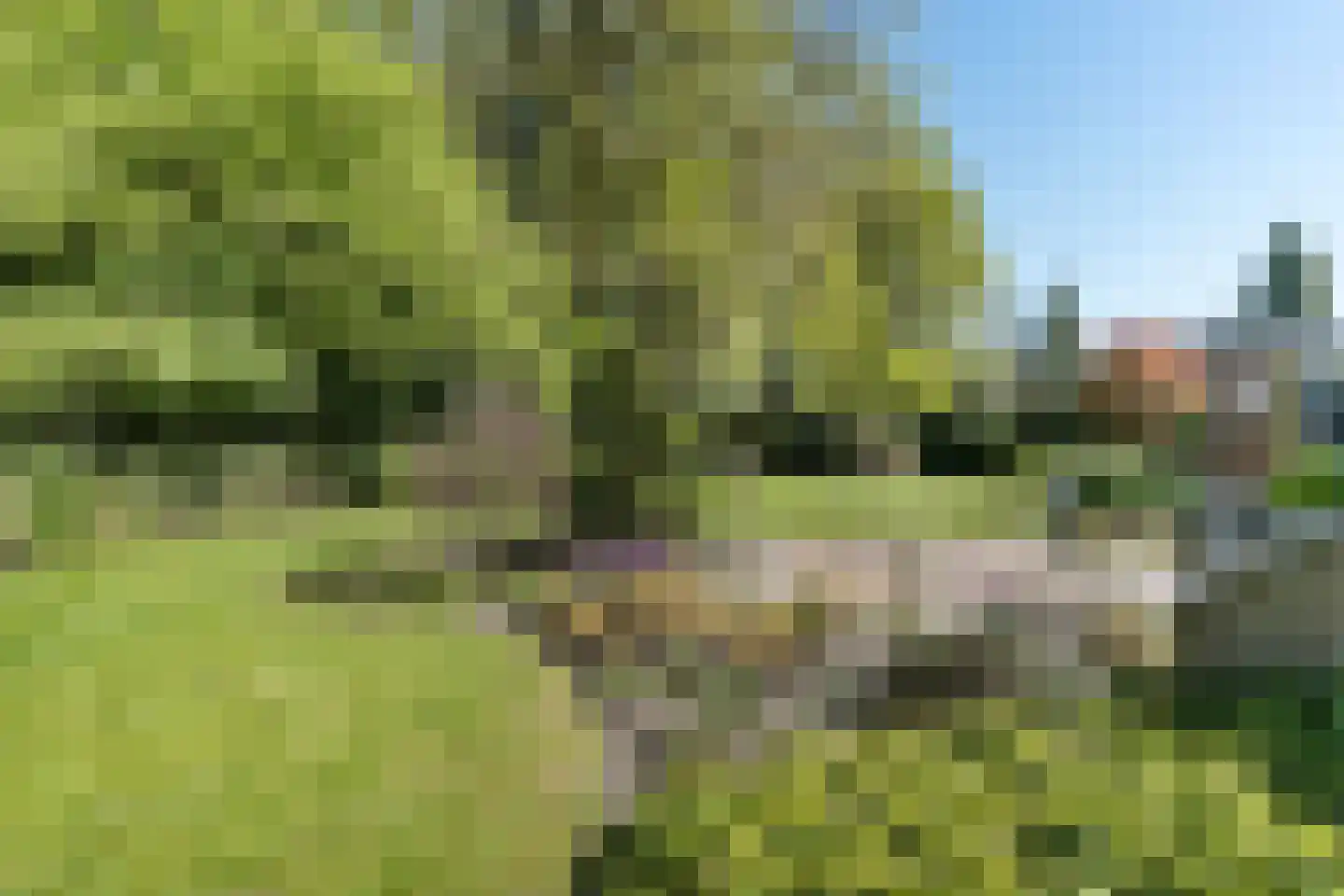 Wolferlanden 6 Enschede thumbnail 40