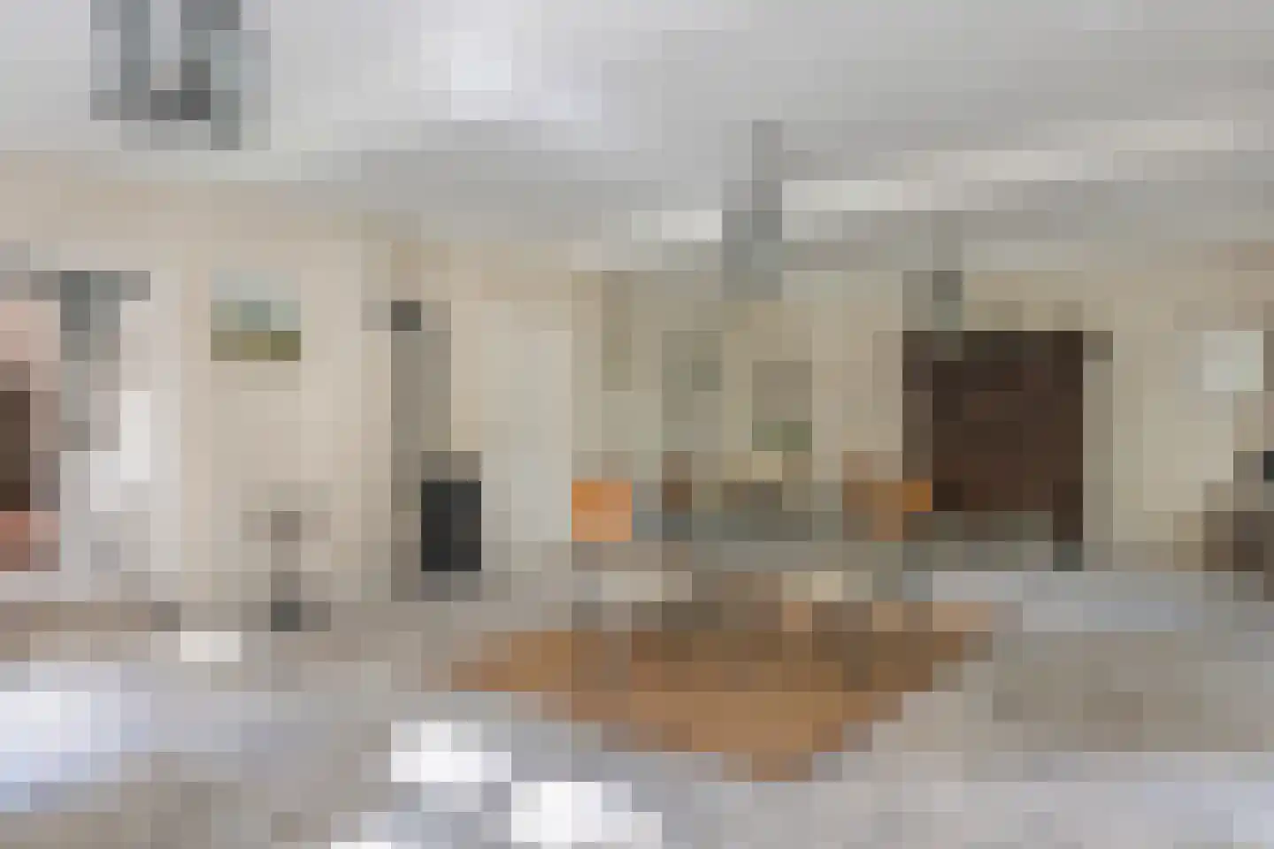 Wolfersveenweg 4 Zelhem thumbnail 12
