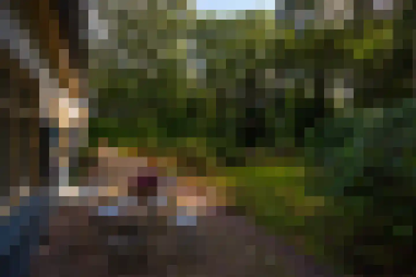 Wolfersveenweg 4 Zelhem thumbnail 71