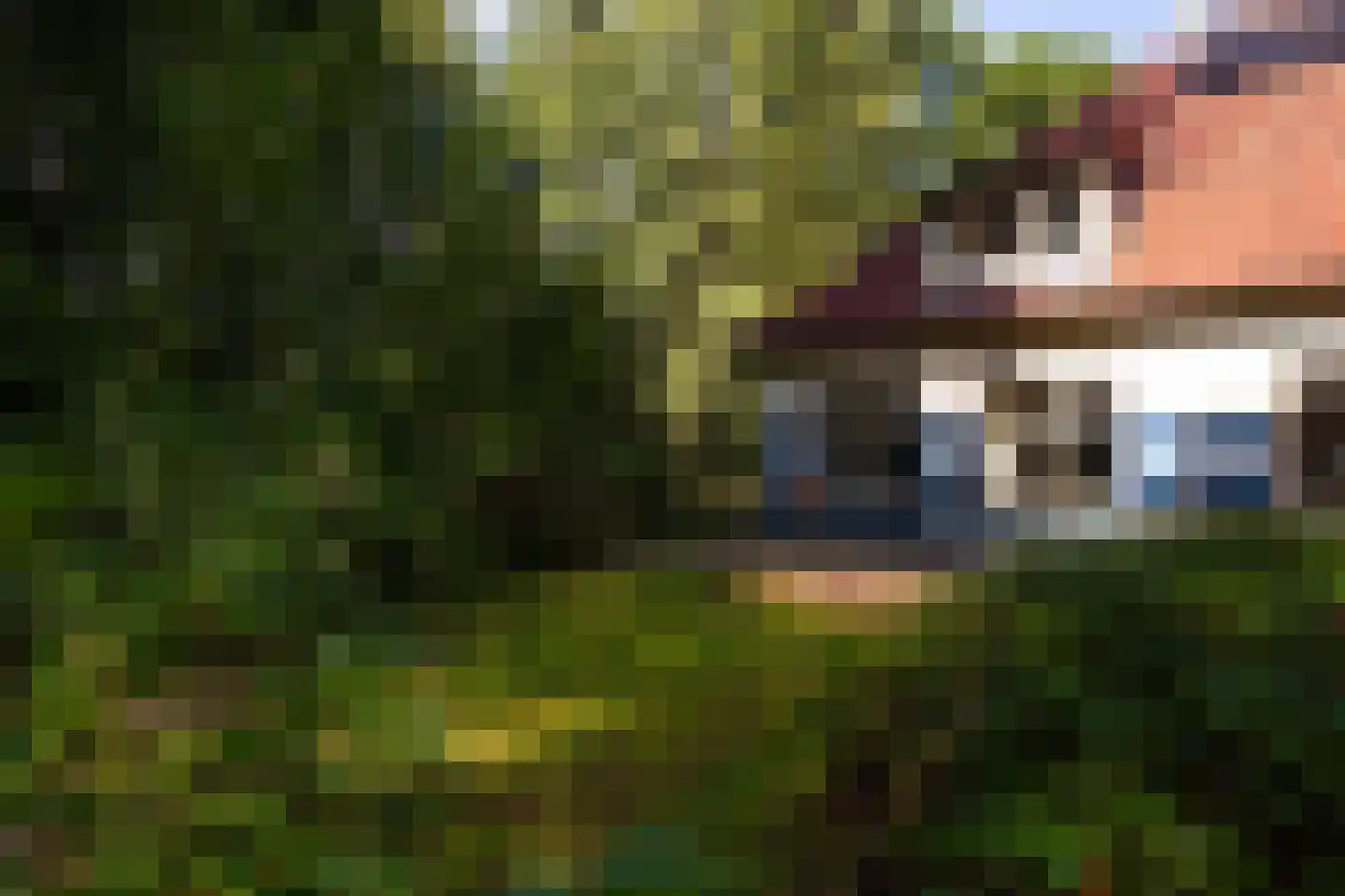 Wolfersveenweg 4 Zelhem thumbnail 77