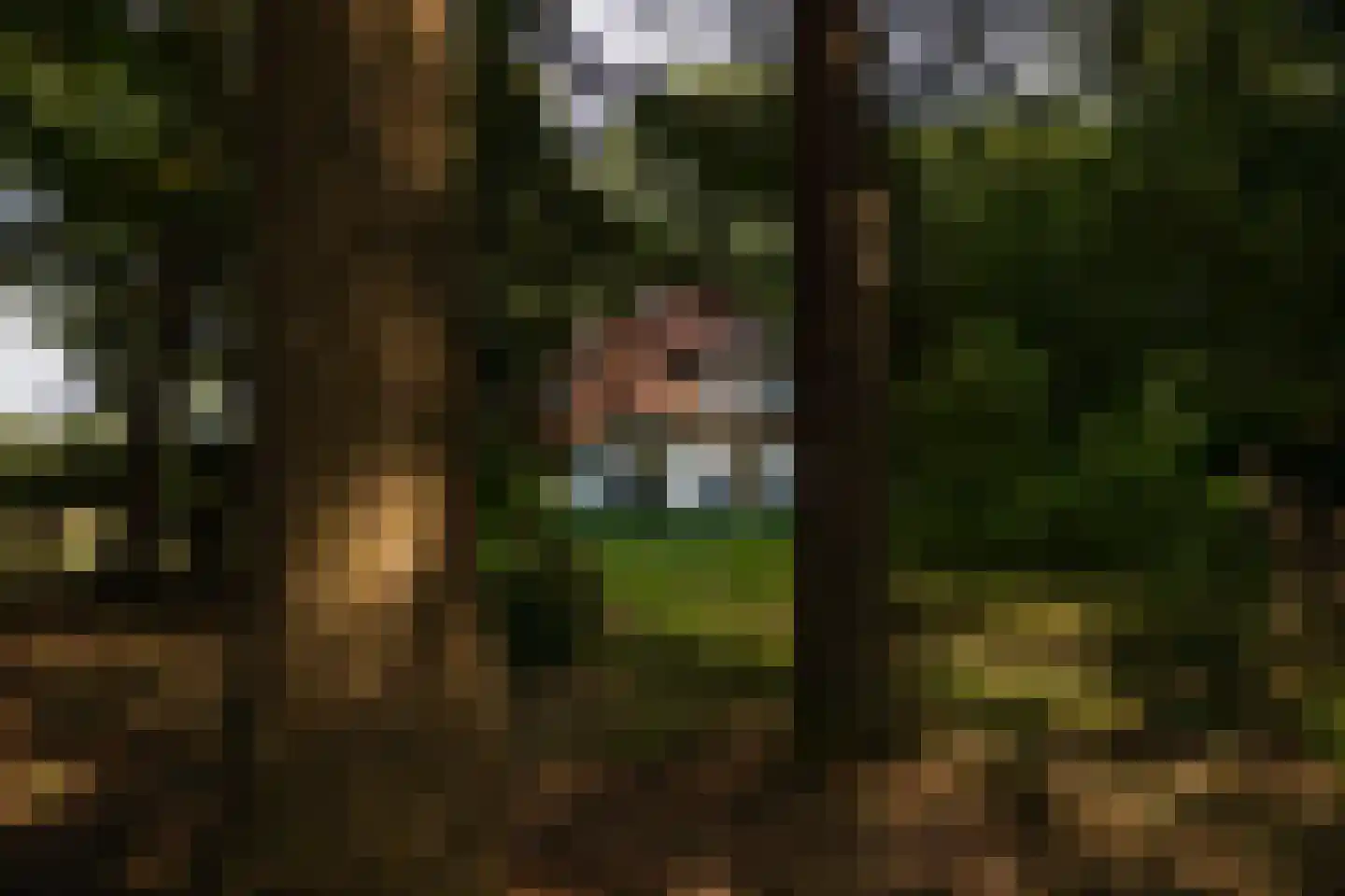 Wolfersveenweg 4 Zelhem thumbnail 78