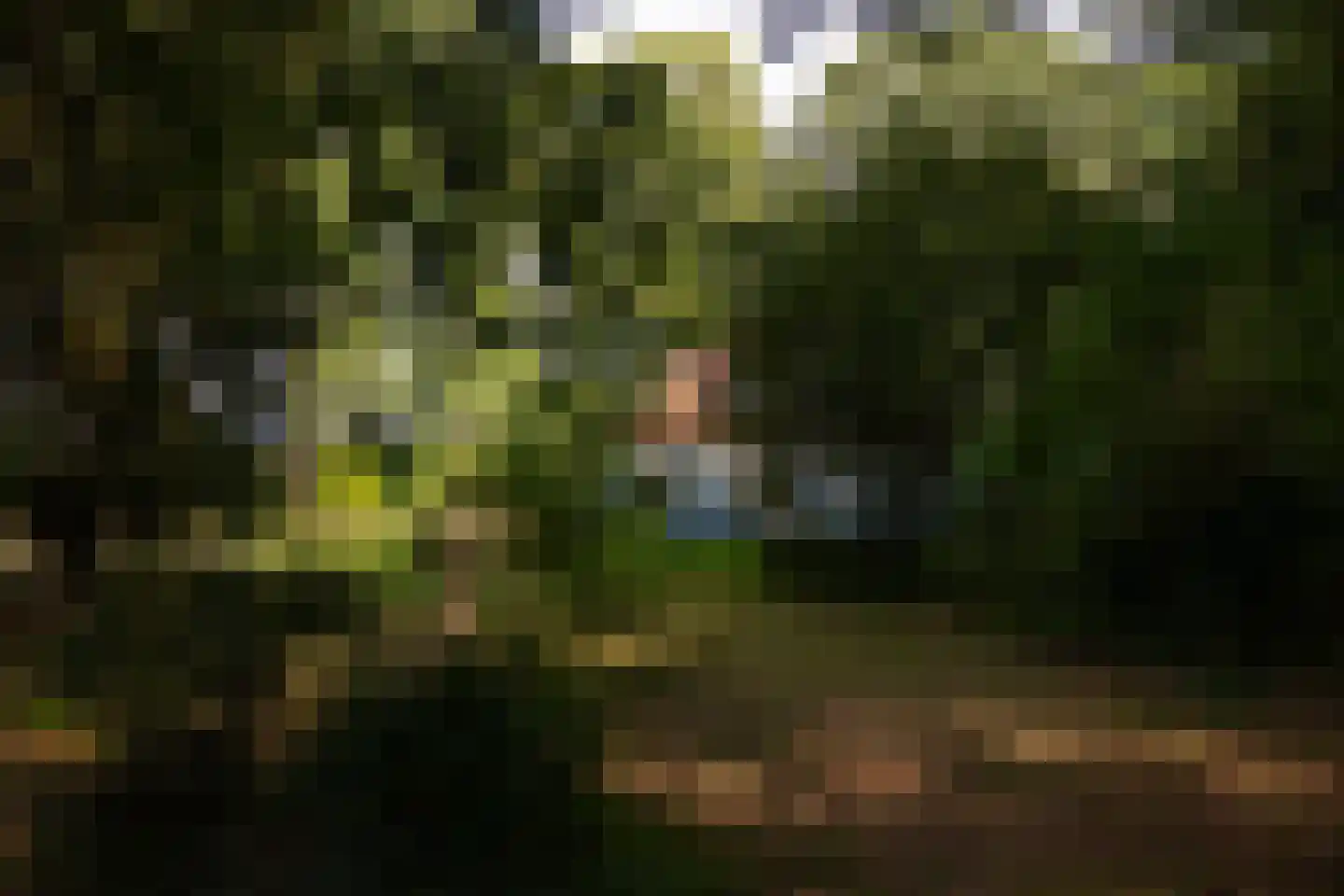 Wolfersveenweg 4 Zelhem thumbnail 79