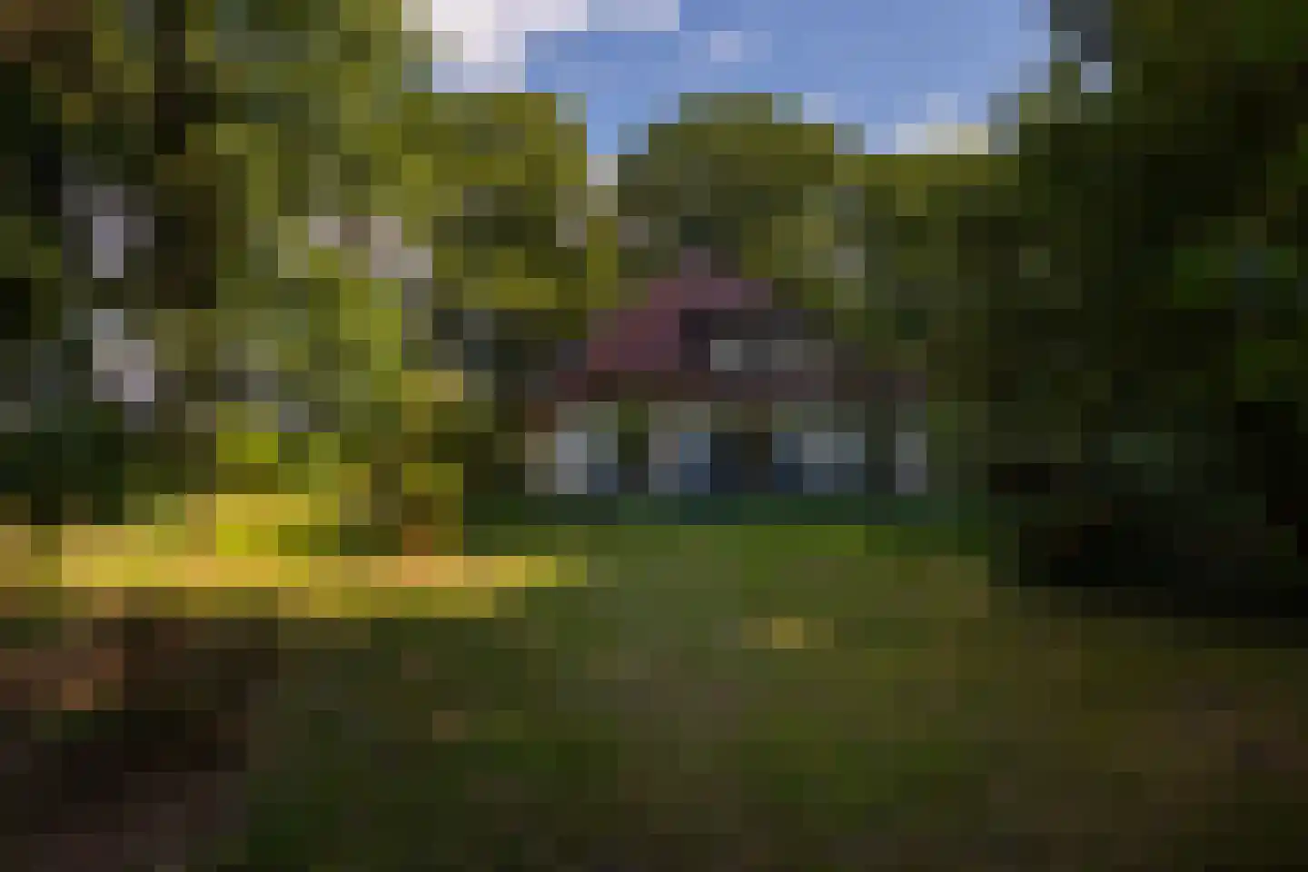 Wolfersveenweg 4 Zelhem thumbnail 80