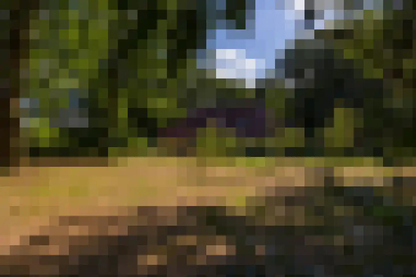 Wolfersveenweg 4 Zelhem thumbnail 81