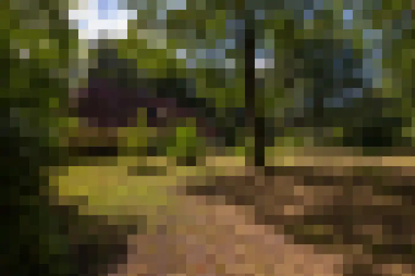 Wolfersveenweg 4 Zelhem thumbnail 82