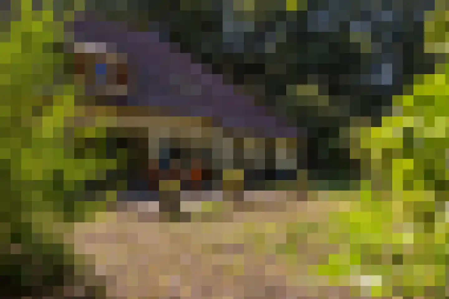 Wolfersveenweg 4 Zelhem thumbnail 83