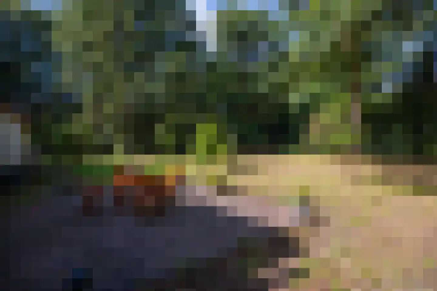 Wolfersveenweg 4 Zelhem thumbnail 84