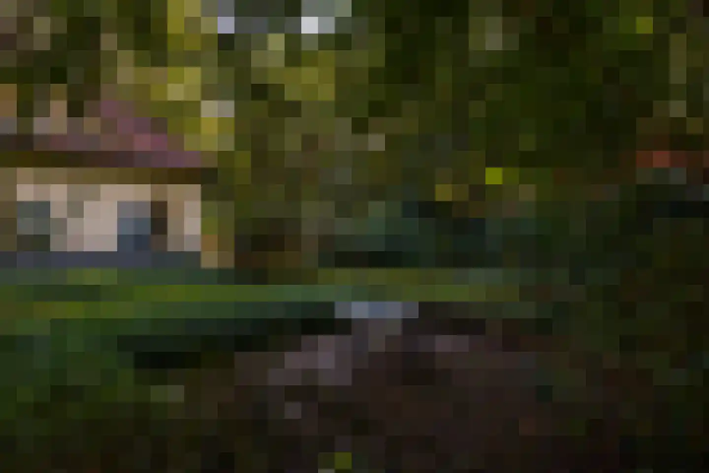 Wolfersveenweg 4 Zelhem thumbnail 86