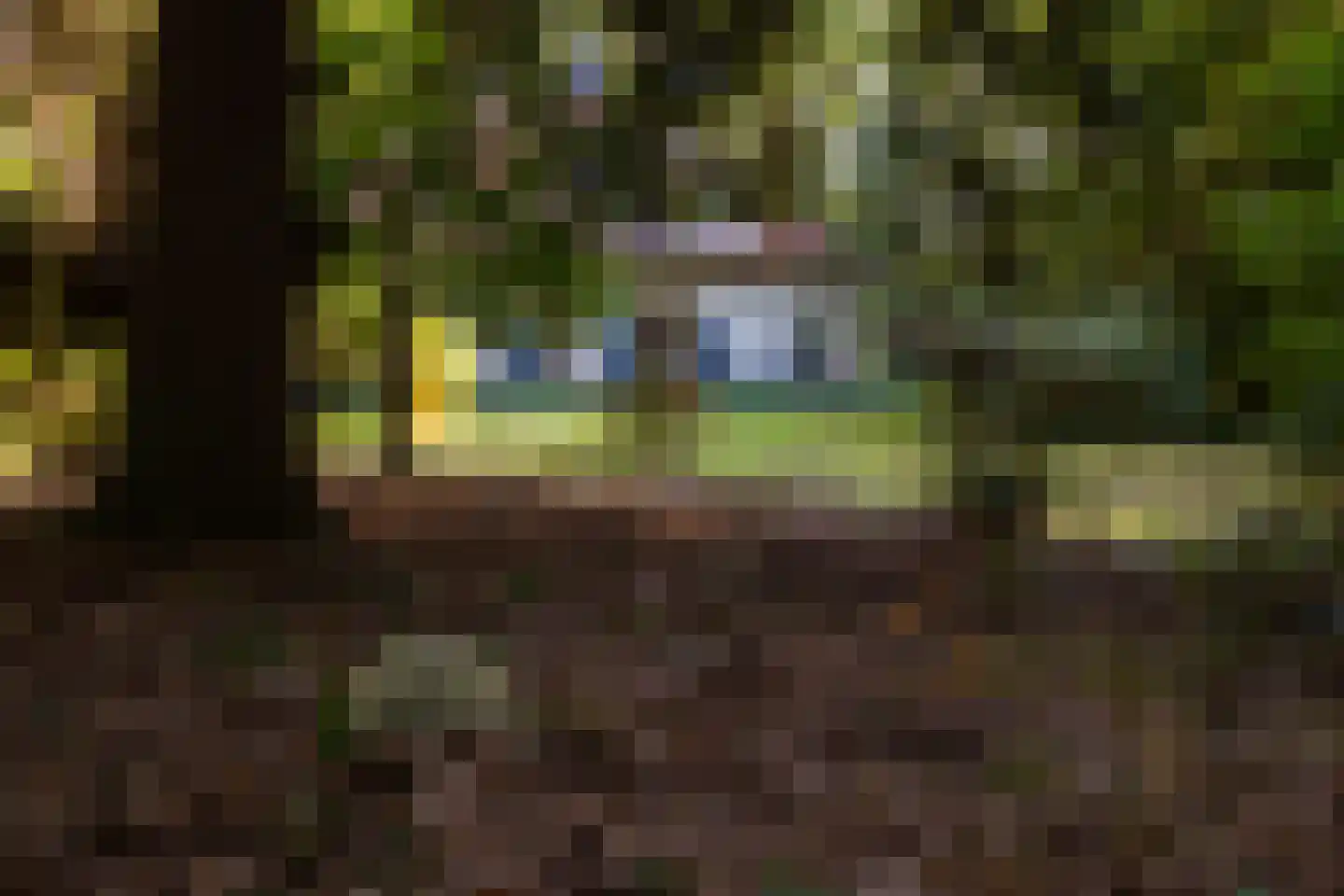 Wolfersveenweg 4 Zelhem thumbnail 87