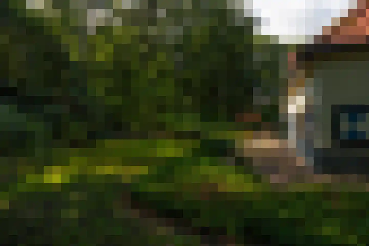 Wolfersveenweg 4 Zelhem thumbnail 88