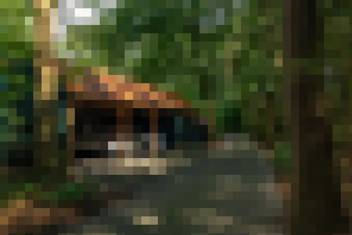 Wolfersveenweg 4 Zelhem thumbnail 89