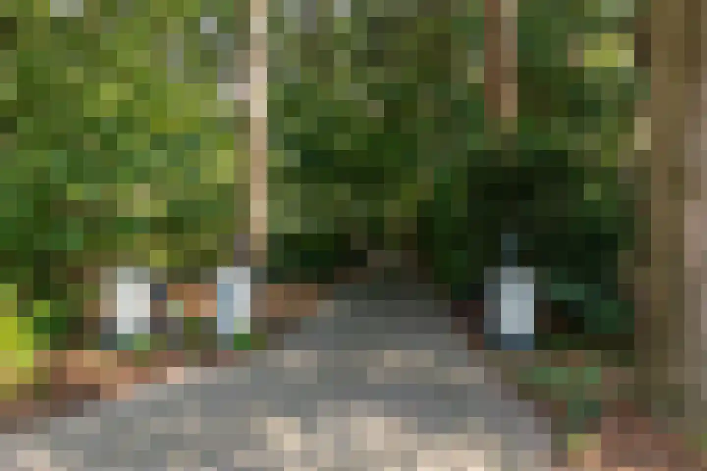 Wolfersveenweg 4 Zelhem thumbnail 90