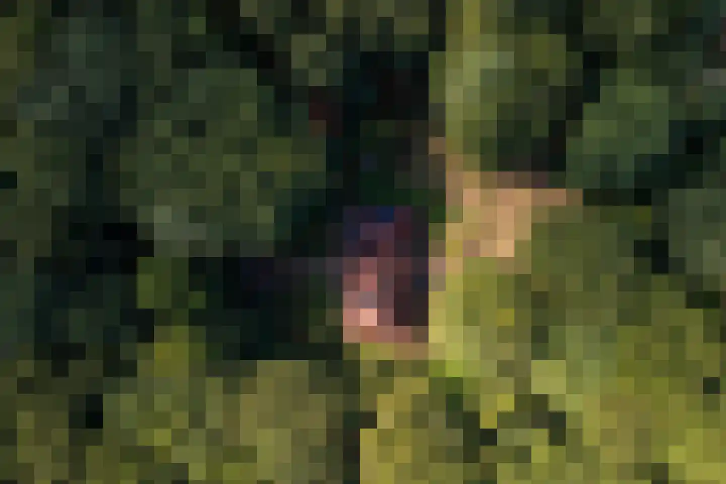 Wolfersveenweg 4 Zelhem thumbnail 92