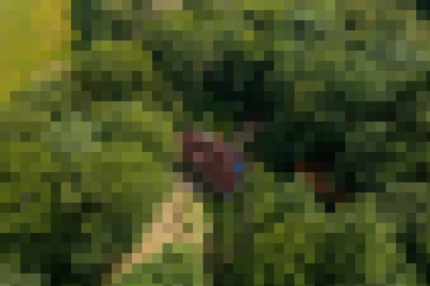 Wolfersveenweg 4 Zelhem thumbnail 93