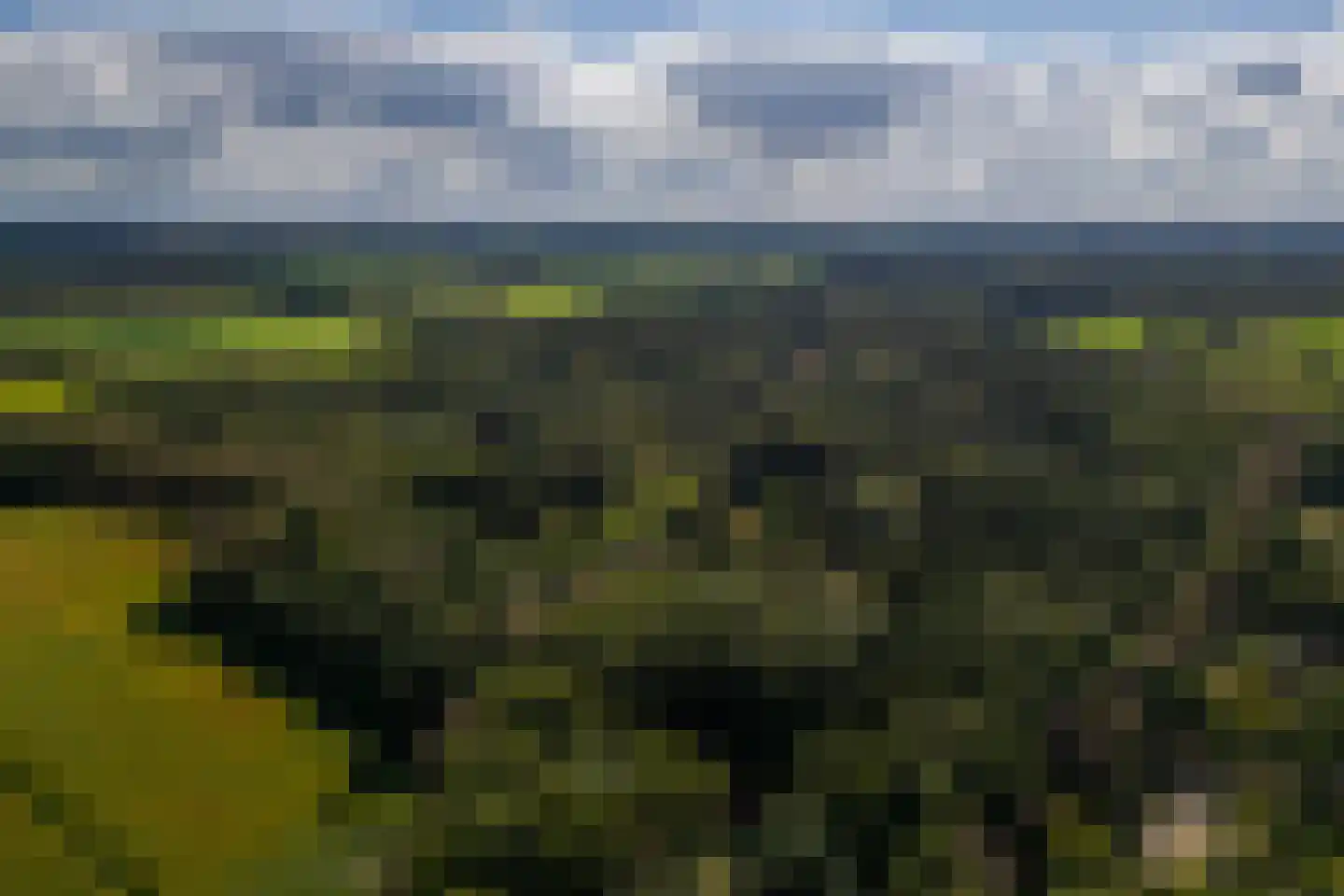 Wolfersveenweg 4 Zelhem thumbnail 94