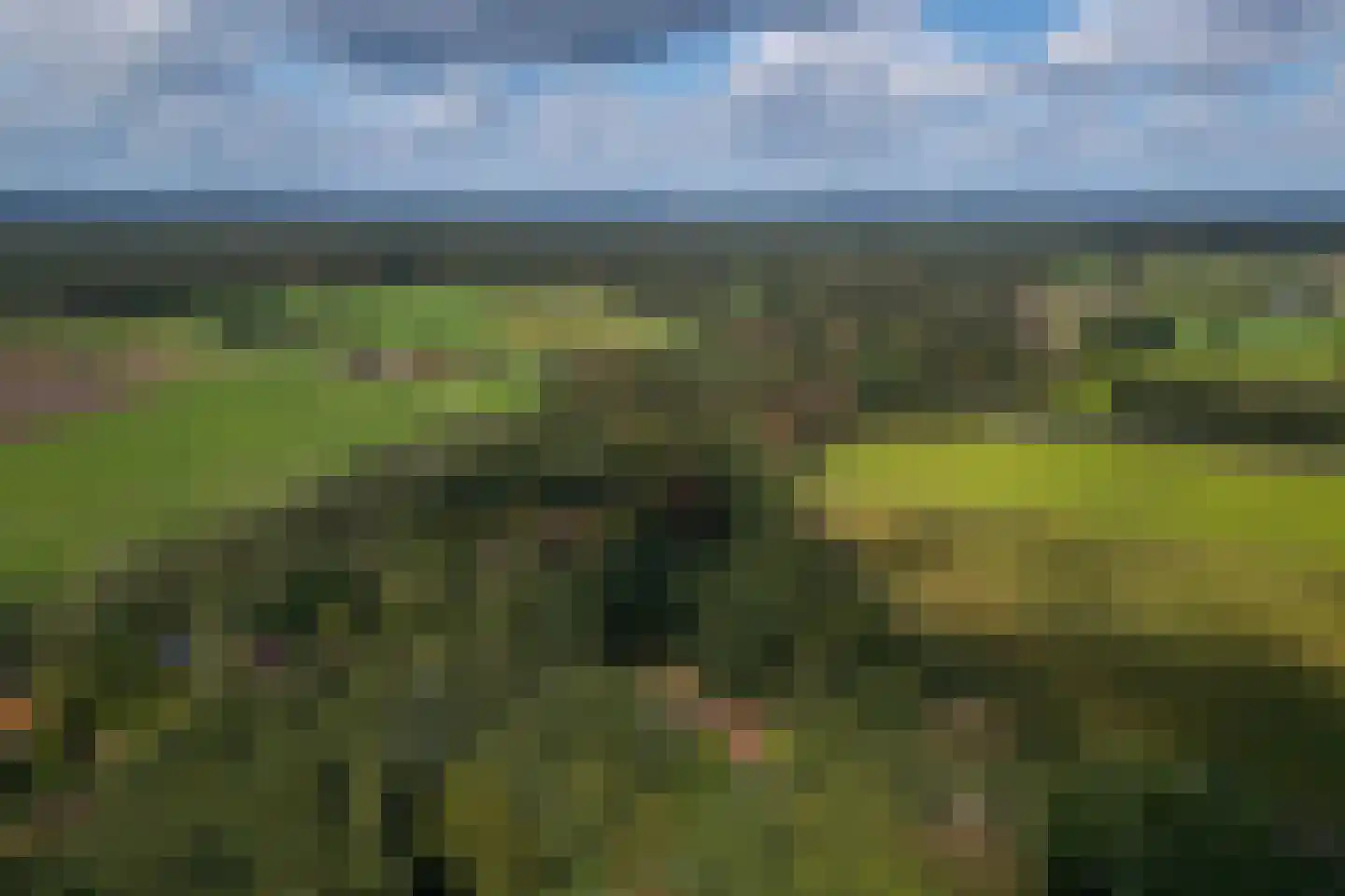 Wolfersveenweg 4 Zelhem thumbnail 95